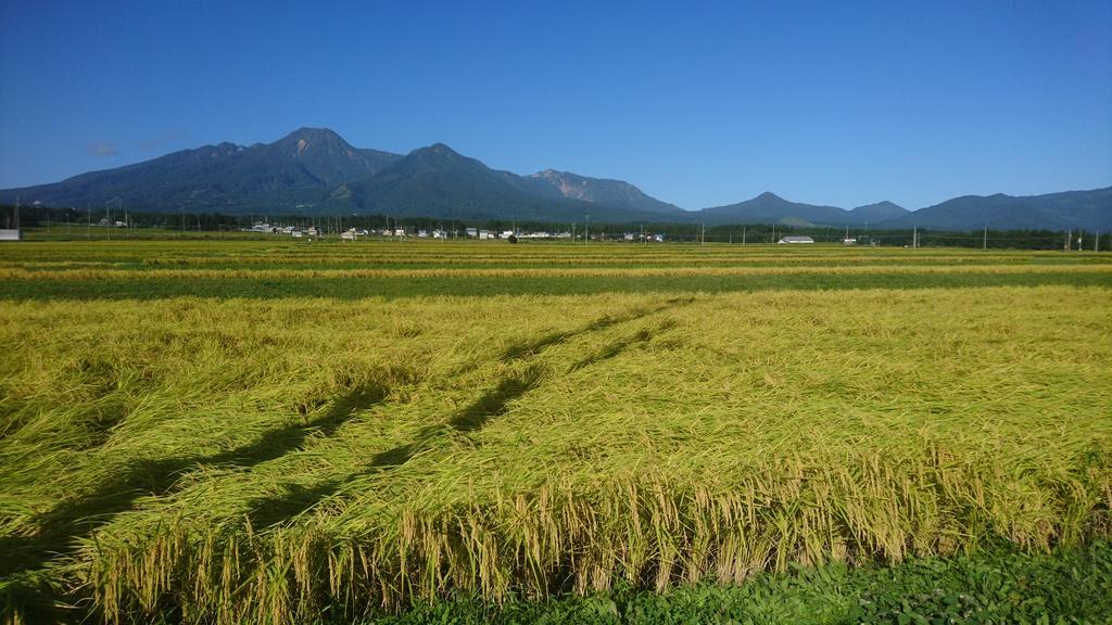 里程标民宿 系鱼川市 外观 照片